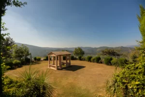 Lawn | The Himalayan Bungalow