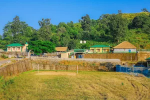 Rajaji Jungle Castle