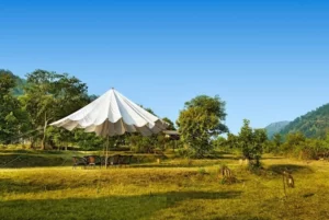 Outdoor Sitting Area | The Forrest Rajaji National Park