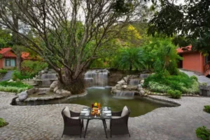 Sitting Area | Taj Corbett Resort & Spa