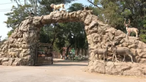 Gir National Park | jungle safari in India