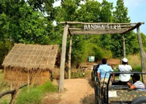 Bandhavgarh National Park | jungle safari in India