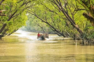 sundarbans wildlife sanctuary