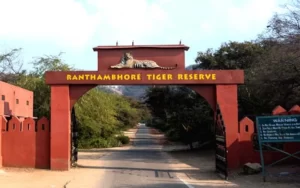 Ranthambore Safari Booking