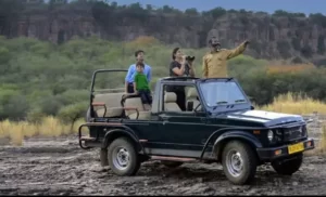 Jeep Safari | Sariska Safari Booking