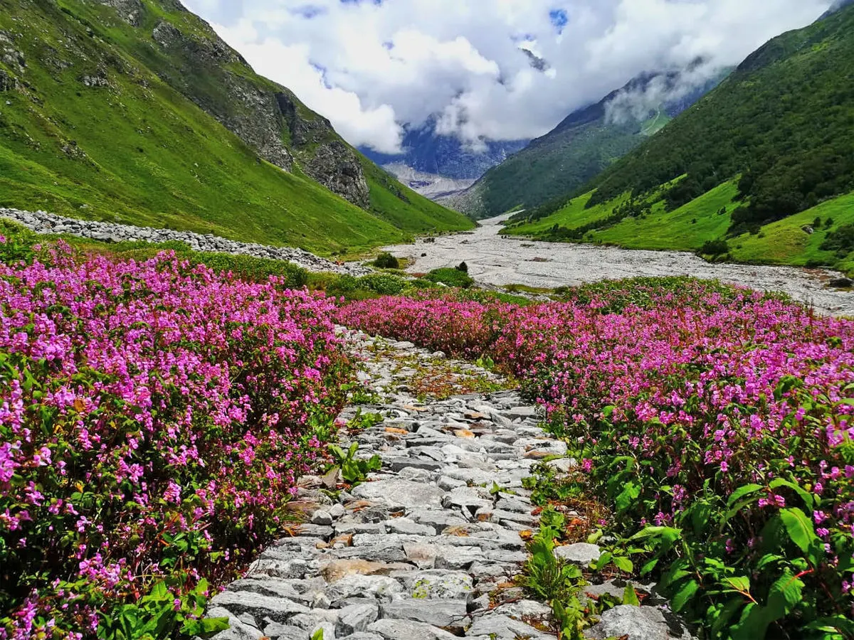 Valley Of Flowers Trek