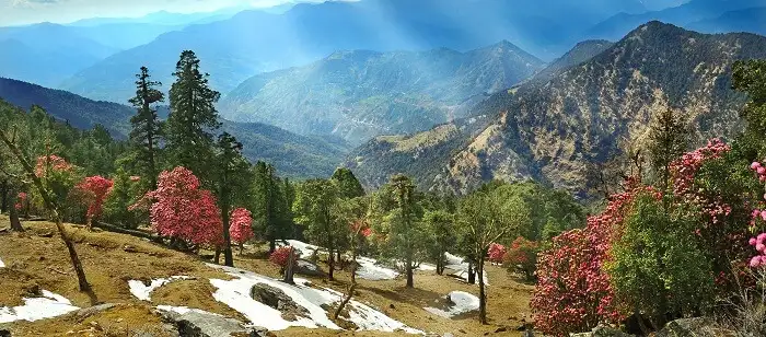 kausani