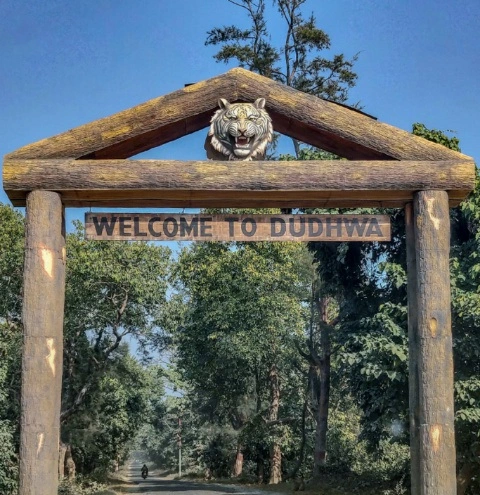 Dudhwa National Park Booking