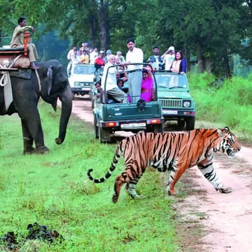 2 Nights 3 Days Package in Jim Corbett