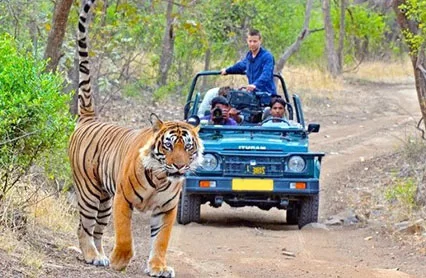 Nainital Jim Corbett Tour Package