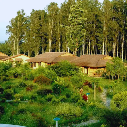 Jim's Jungle Retreat in Jim Corbett