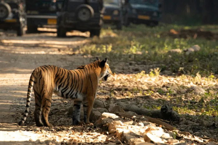 Jim Corbett Budget Package